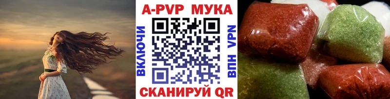 площадка состав  Котельнич  APVP VHQ  omg ТОР 
