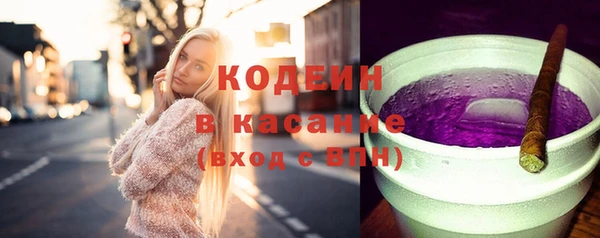 молекула духа Богородицк