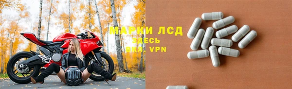 молекула духа Богородицк