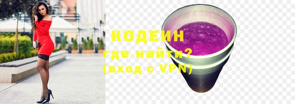 молекула духа Богородицк