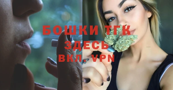 молекула духа Богородицк