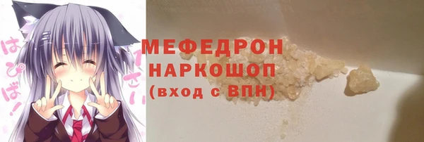молекула духа Богородицк