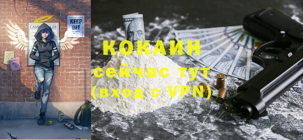 молекула духа Богородицк