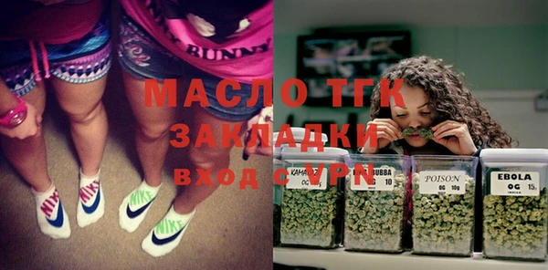 молекула духа Богородицк
