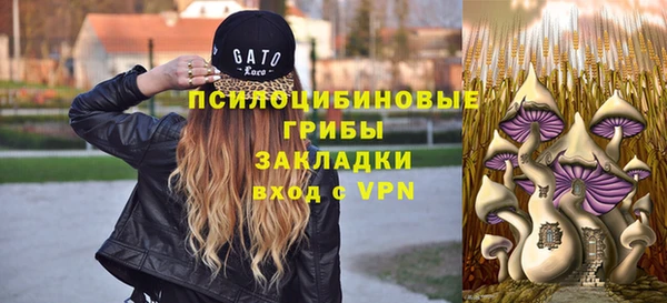 не бодяженный Богданович