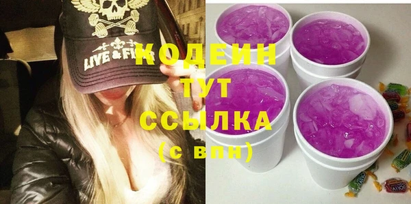молекула духа Богородицк