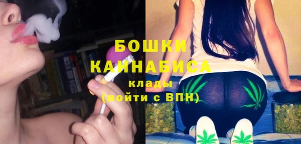 СК Богородск